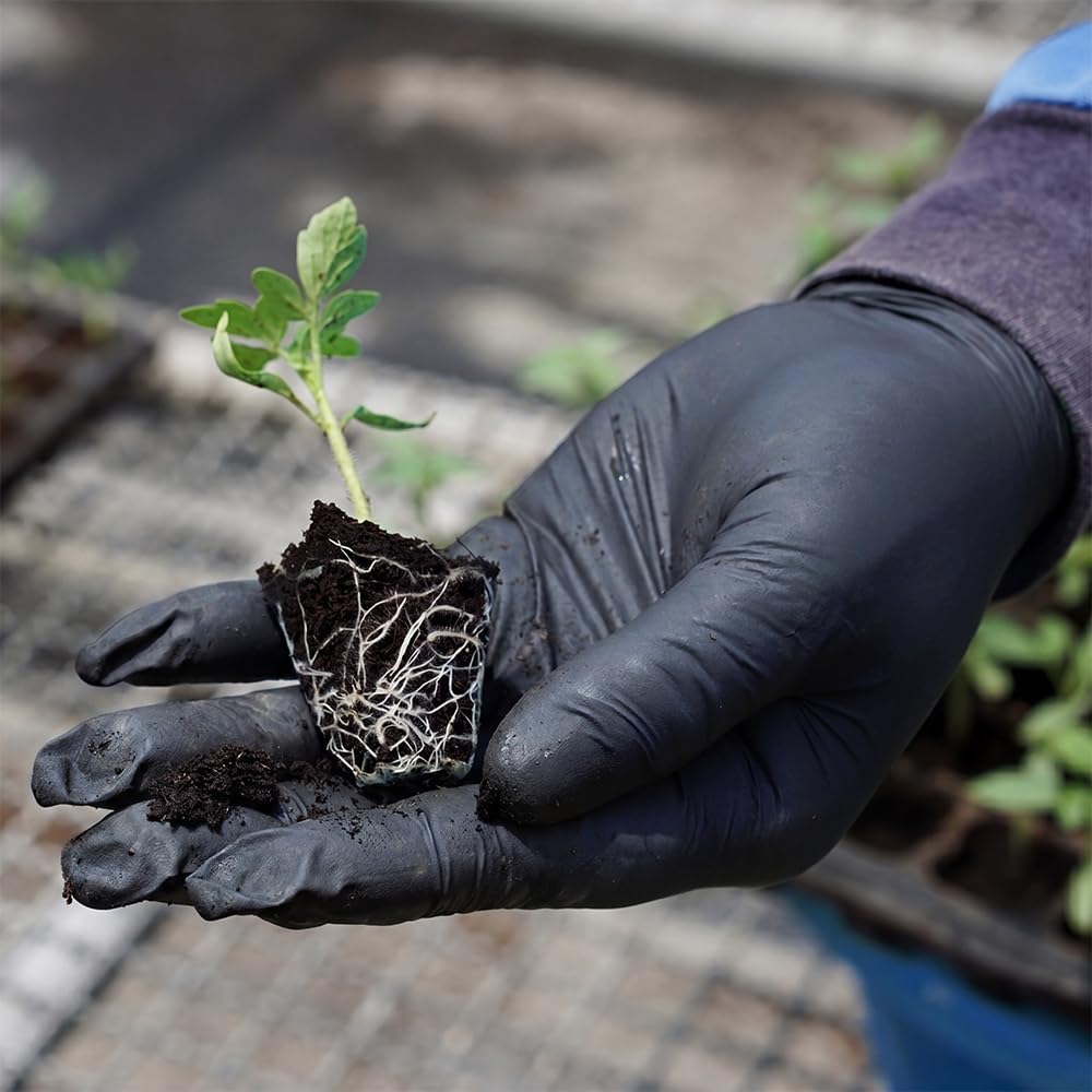 ANSIO Black Nitrile Latex Free Disposable Gloves Small, 100 Pack