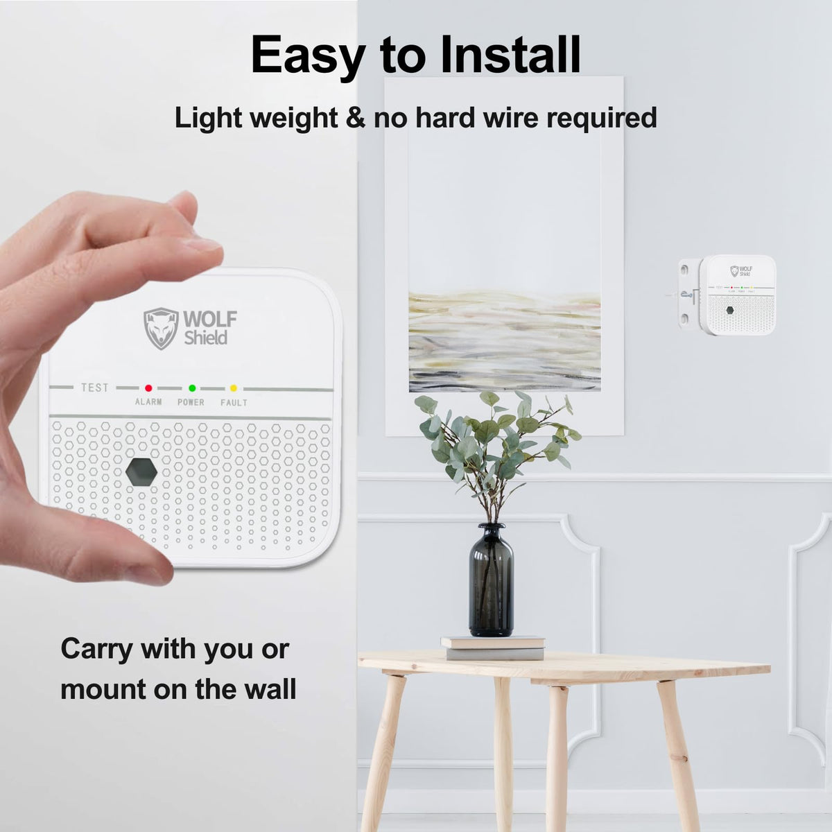Carbon Monoxide Detector, 10-Year Sealed Battery, EN 50291-1:2018 Certified, 85dB Siren, CO Detector for Home, Caravan, Camping & Travel, Black