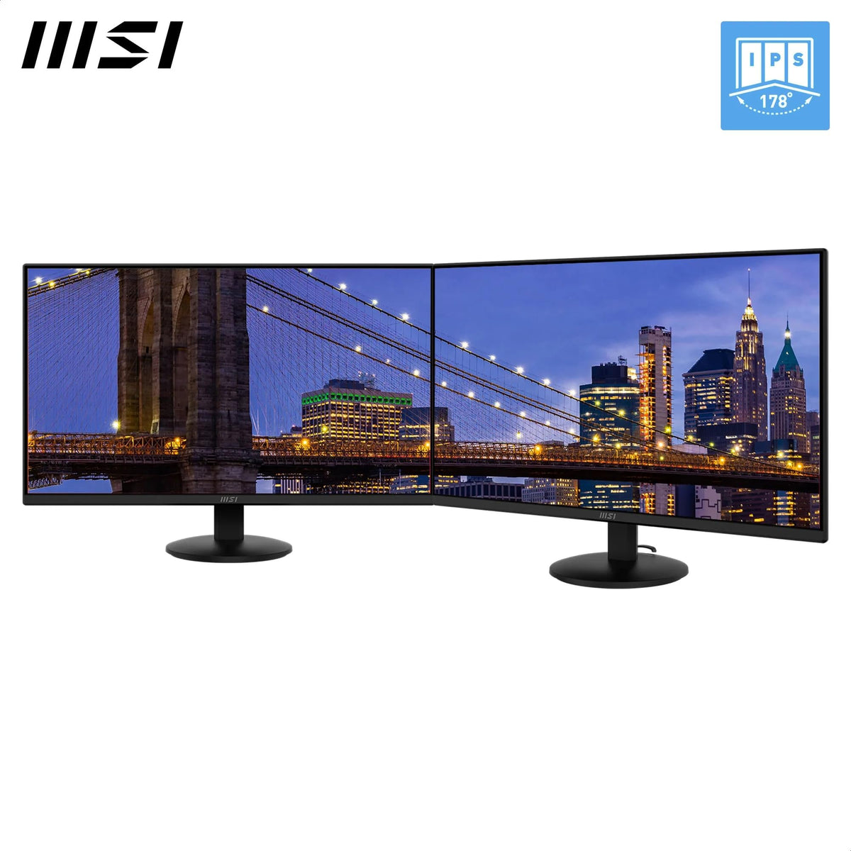 MSI PRO MAX 241PHW E14