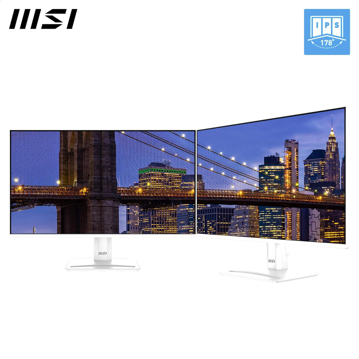 MSI PRO MAX 241PHW E14
