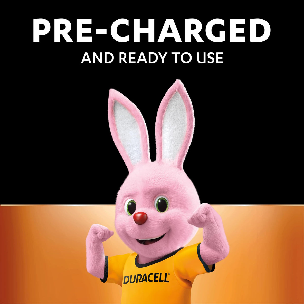 DURACELL AA Rechargeable Batteries (4 Pack) 1.2V, 1300 mAh NiMH