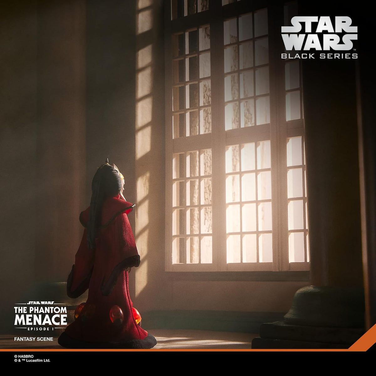 Star Wars Black Series Queen Amidala Action Figure