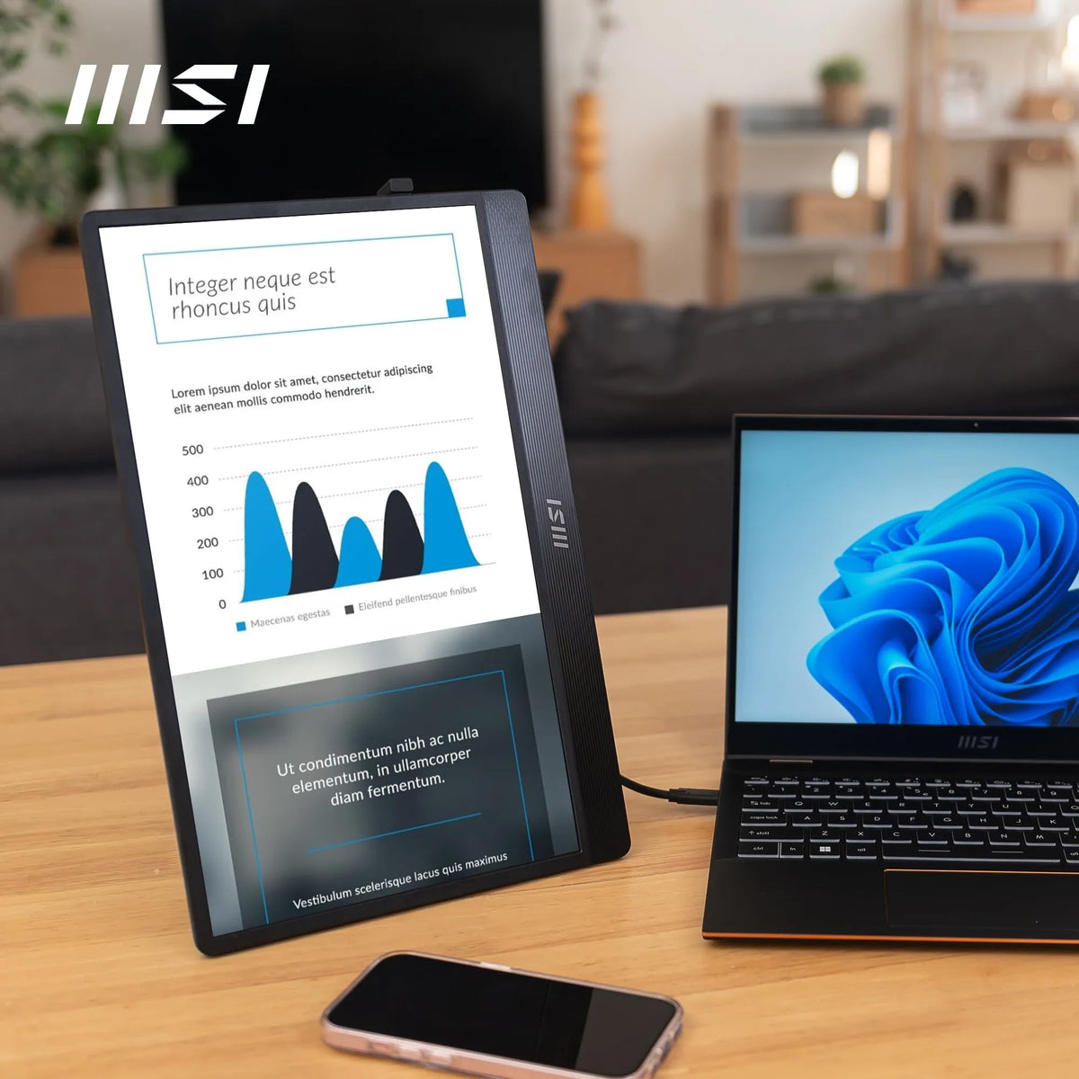 MSI PRO MP243L E14