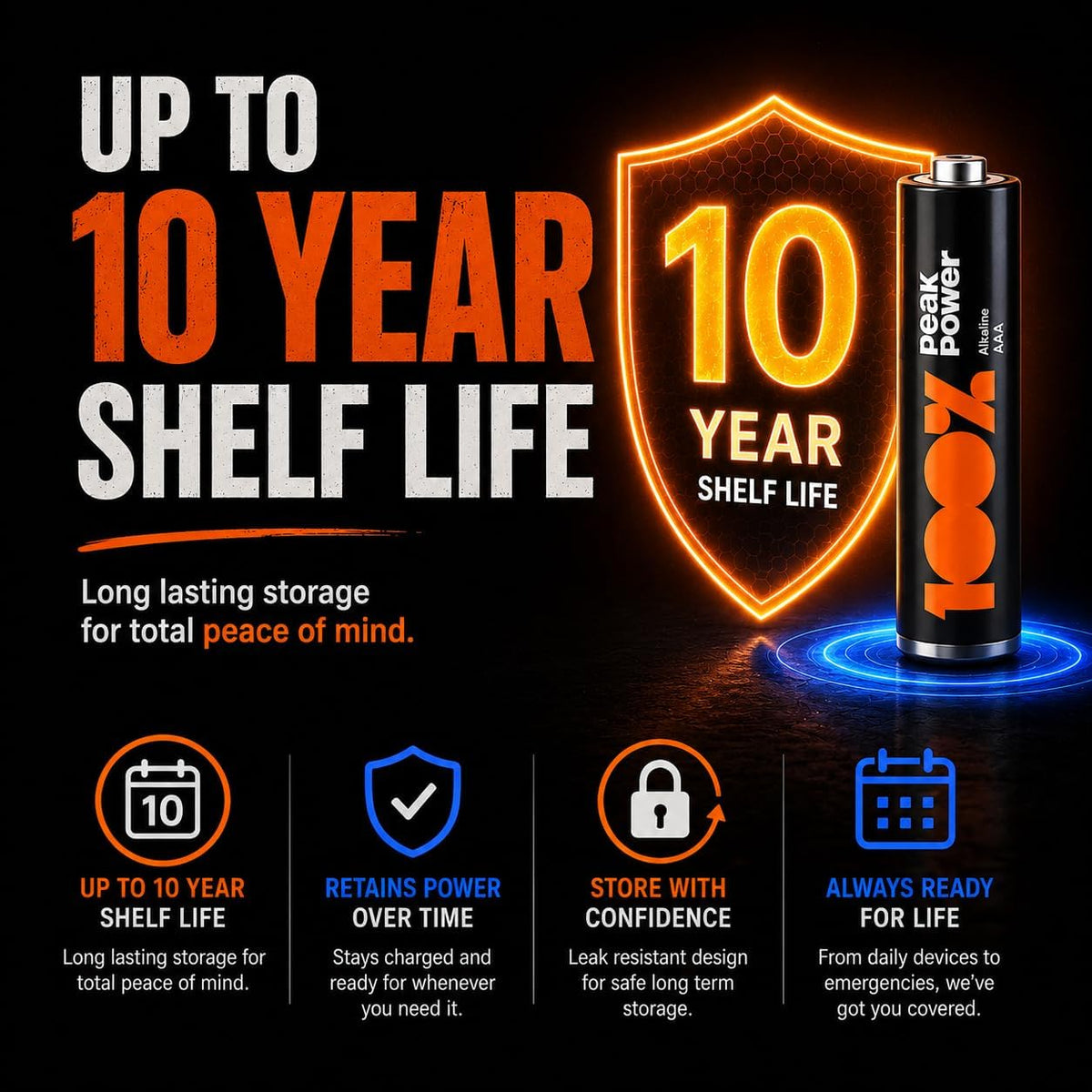 100PP AAA Batteries 40 Pack | Alkaline 1.5V Long-Lasting Power