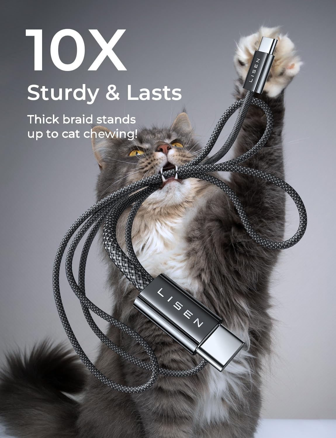 LISEN 5-Pack USBC Cables [3.3/3.3/6.6/6.6/10FT] for iPhone 16/15 Pro Max, Samsung S24/S23, iPad & MacBook Air/Pro - 60W (3.1A) Fast