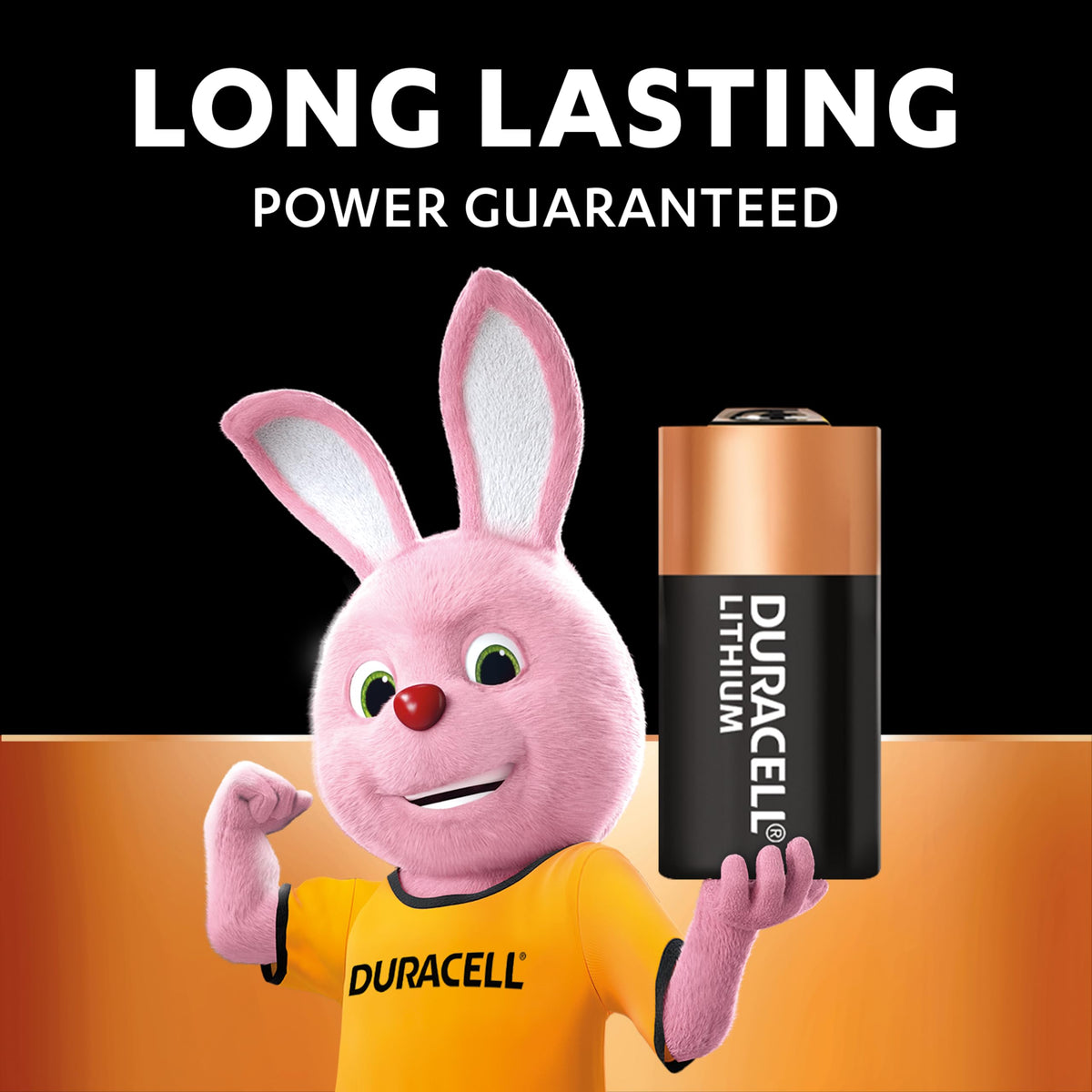 DURACELL MN21 Specialty Alkaline Battery (2 Pack) 12V, A23/8LR932