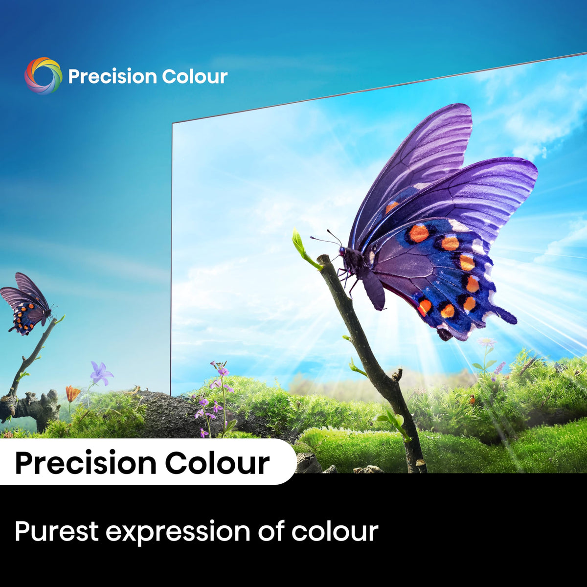 Hisense 55 Inch 55E6QTUK 4K Ultra HD Smart AI TV