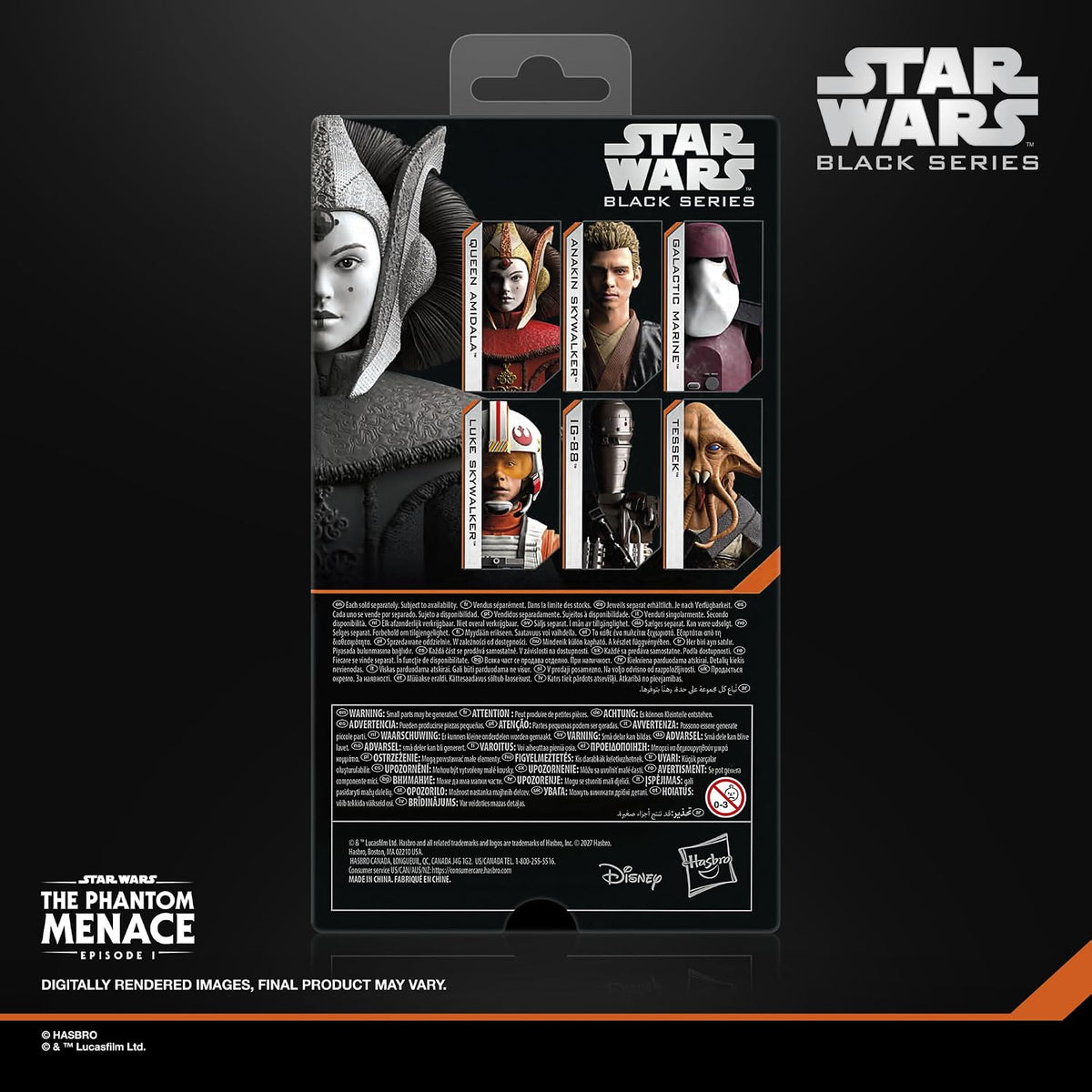 Star Wars Black Series Queen Amidala Action Figure