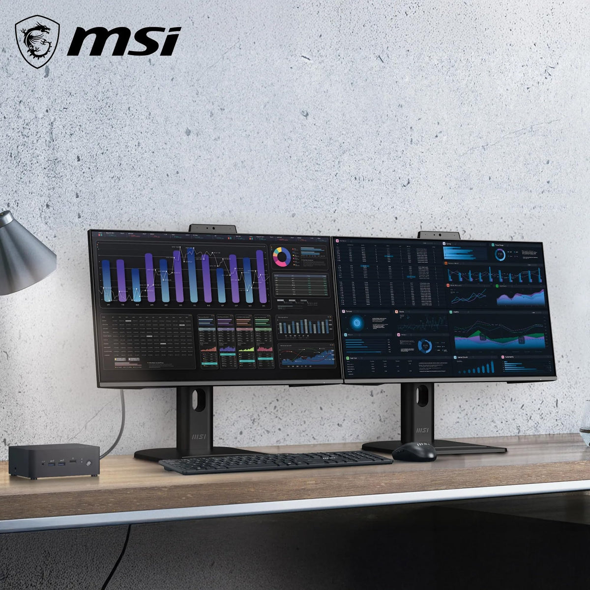 MSI PRO MAX 241PHW E14
