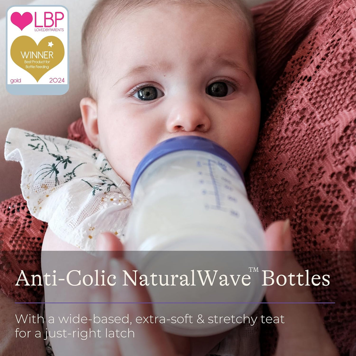 Lansinoh Anti Colic Baby Bottles 240 ml - 2 Pack - Medium Flow Teats