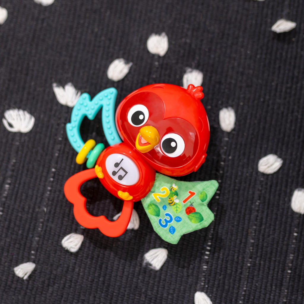 Baby Einstein Take Along Tunes Musical Toy, Ages 3 Months +